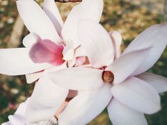 -碑林公园