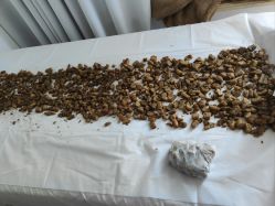 -姜美堂·蒸姜除湿の纤体美颜馆