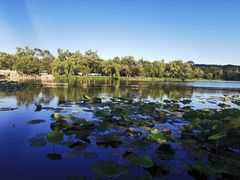 -承德避暑山庄景区