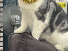 -百金通黄金回收首饰定制维修(珠江路总部)