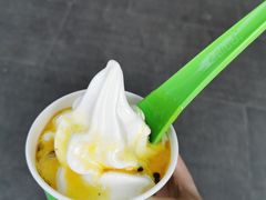 冻酸奶-Salud撒露欧洲冻酸奶(蓝色港湾店)