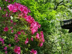 -南山风景名胜区