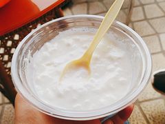 自制老酸奶小碗-古老冰山特色冰淇淋店(艾提尕尔店)