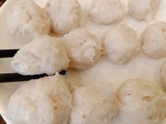 手打鱼丸-正能量脆肉鲩火锅