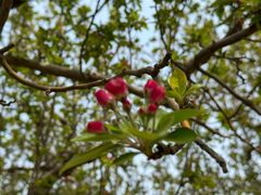 -元大都城垣遗址公园