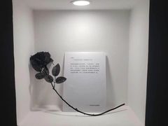 -深圳失恋博物馆再见前任(汇商名苑店)
