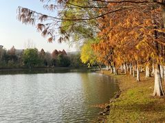 -长广溪湿地公园