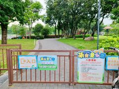-王借岗森林公园