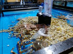 -易生活购物公园