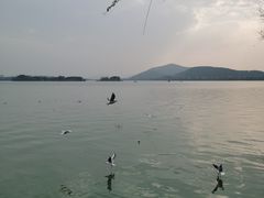 -无锡蠡湖国家湿地公园-蠡园