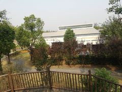 -田园东方蜜桃村的田野营地