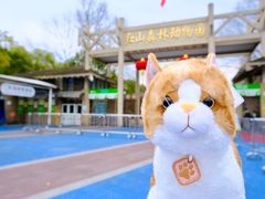 -红山森林动物园