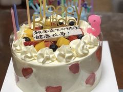 -维尔纳斯·生日蛋糕·动物奶油冰淇淋蛋糕(六里桥店)
