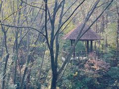 -黄陂区野村谷景区