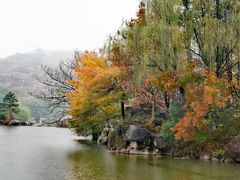 -白马涧龙池景区