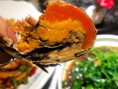 -马头巷·食景园(苏州总店)