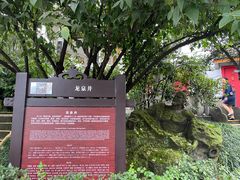 -泸州老窖景区