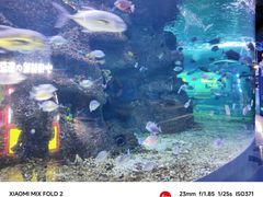 -沙沙哗啦海洋馆(华宇百花谷店)
