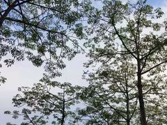 -海上田园
