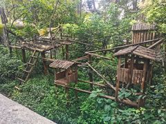 -昆明动物园