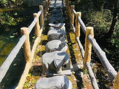 -王顺山国家森林公园