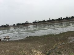 -龙舟池