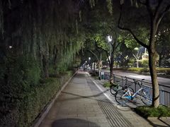 -宁波大剧院