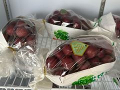 -马陆小张葡萄园农家乐