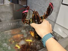 -京彩臻品火锅