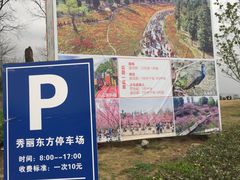-秀丽东方