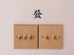-LADY FAFA(巨鹿路陕西南路路口店)