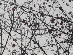 -南京市江宁方山