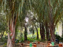 -中国科学院西双版纳热带植物园