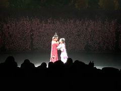 -芜湖方特东方神画