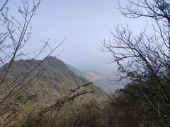 -午潮山国家森林公园