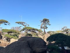 -罗红摄影艺术馆