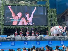 -青岛东方影都融创水世界