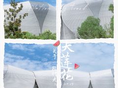 -杭州奥体中心-体育场