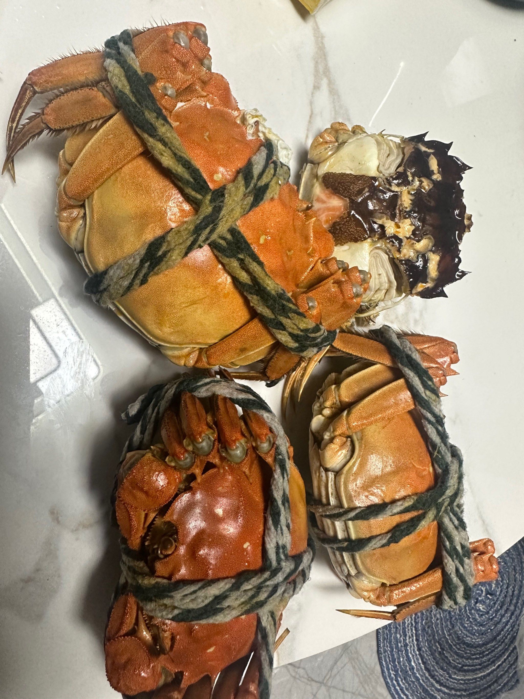 秋风起,蟹脚肥!