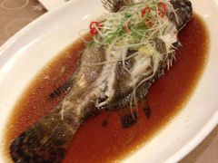 虎班鱼-乾隆美食·本帮菜(黄河路店)