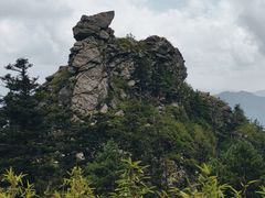-朱雀国家森林公园