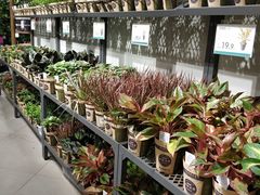 -鹿岛会员店 (龙湖三千集天街店)