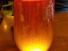-雪梨精酿 Sydney Coast Brewing(沁春家园店)