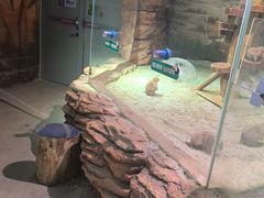 -正佳雨林生态植物园