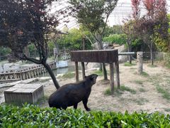 -上海野生动物园