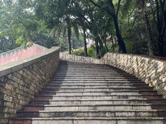 -福神岗公园