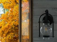 -Blue Concept Cafe&Farm·關於藍
