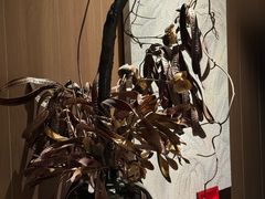-手技王·影院足道·SPA(深圳之眼店)
