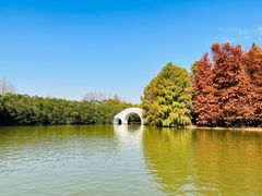 -上海海湾国家森林公园