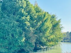 -尚贤河湿地